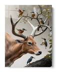 Kingfisher Ox
