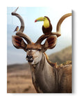 Kudu Birds