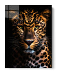 Leopard Black Portrait