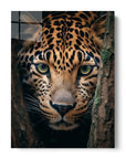 Leopard Hiding Tree
