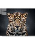 Leopard Rain
