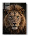 Lion Green Eyes