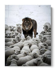 Lion Meets Sheep