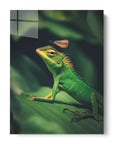 Lizard Dragonfly