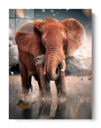 Lonely Elephant