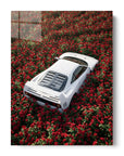 Luxury Among Roses