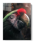 Marble Parrot