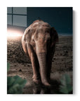 Midnight Elephant