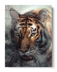 Misty Tiger