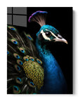 Peacock Black Portrait