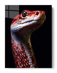 Red Snake Black Portrait