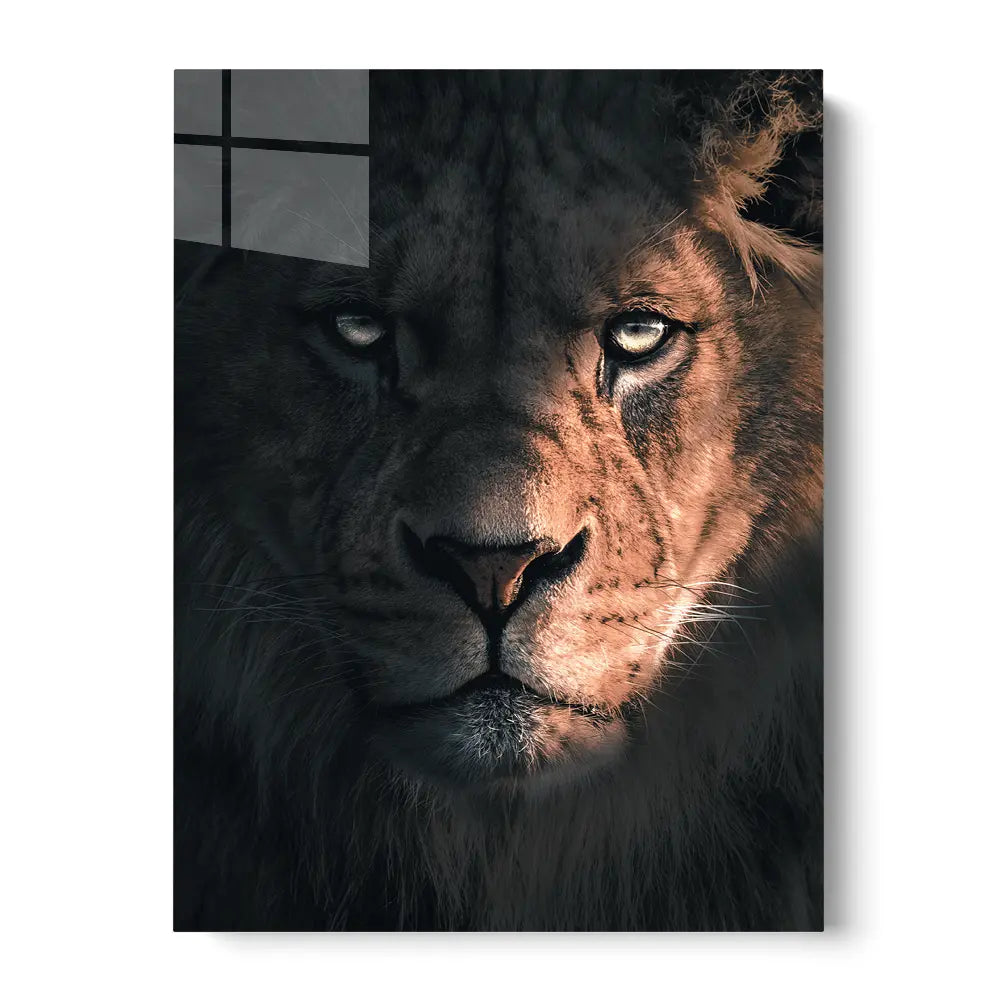 Shadow Lion