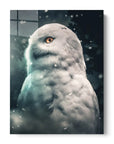 Snowy Owl