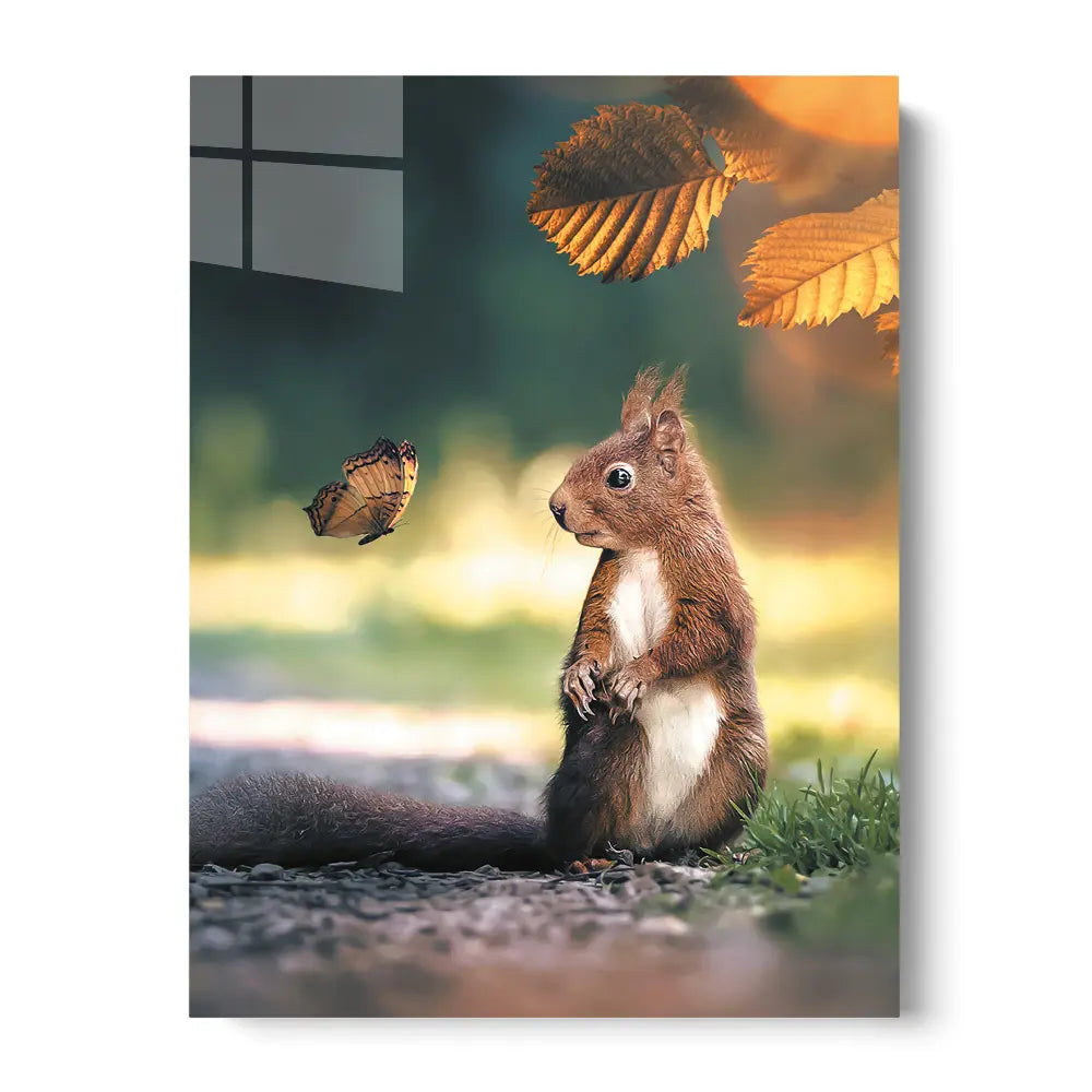 Squirrel Butterfly