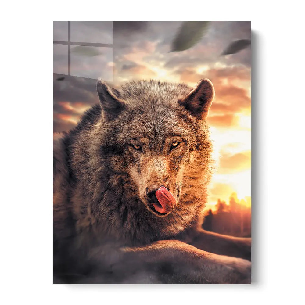 Sunset Wolf