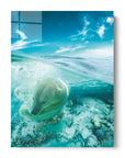 Swimming Polar Bear