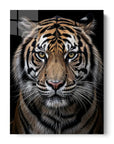 Tiger Front View