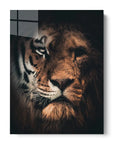 Tiger Lion