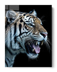 Tiger Side View