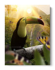 Toucan Butterflies