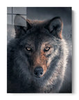 True Wolf