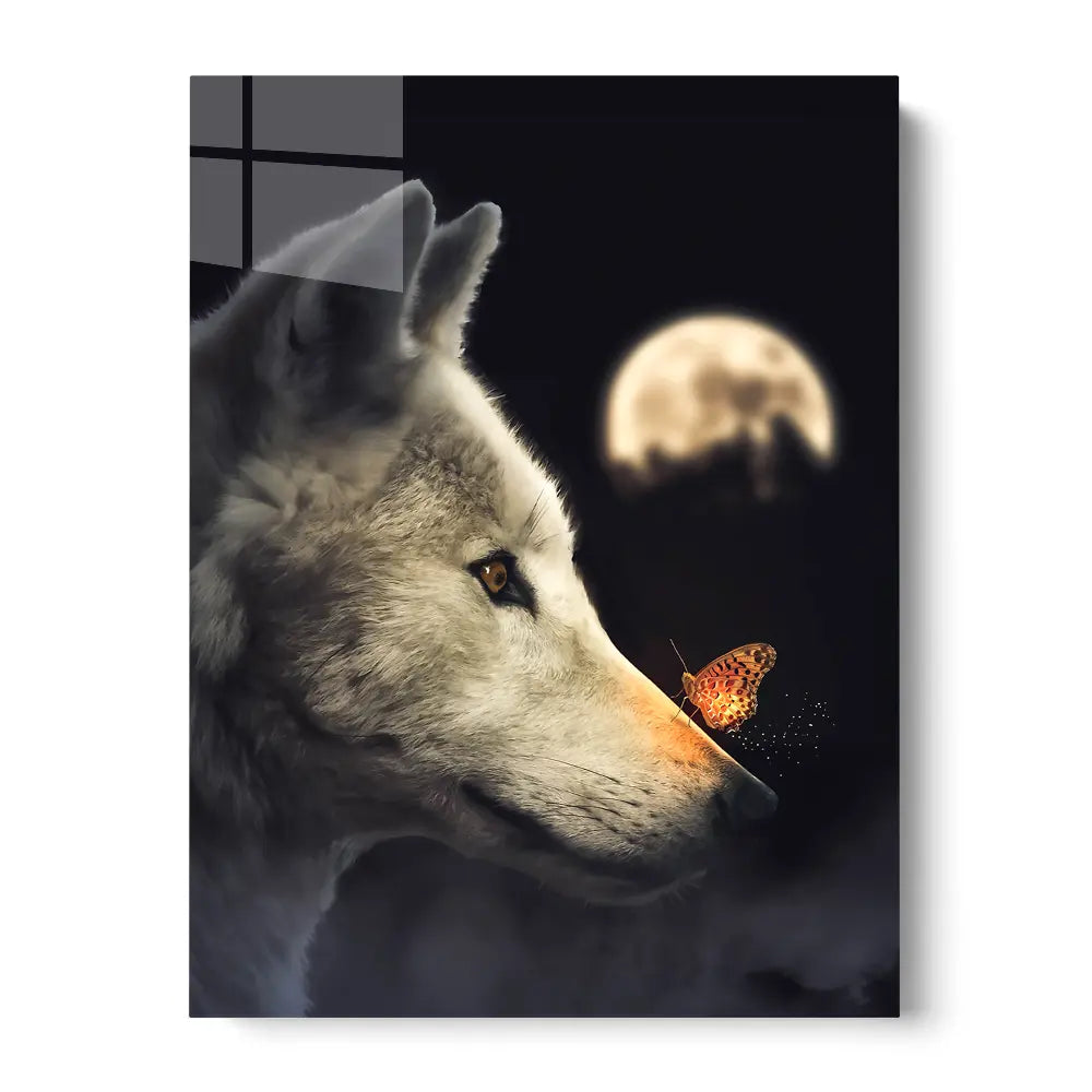 Wolf Butterfly