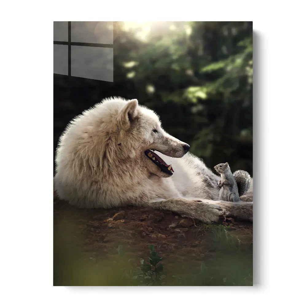 Wolf Meets Squirrel