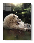 Wolf Meets Squirrel
