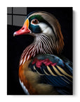 Wood Duck Black Portrait