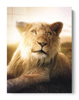 Young Lion