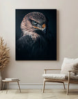 Hawk Vision