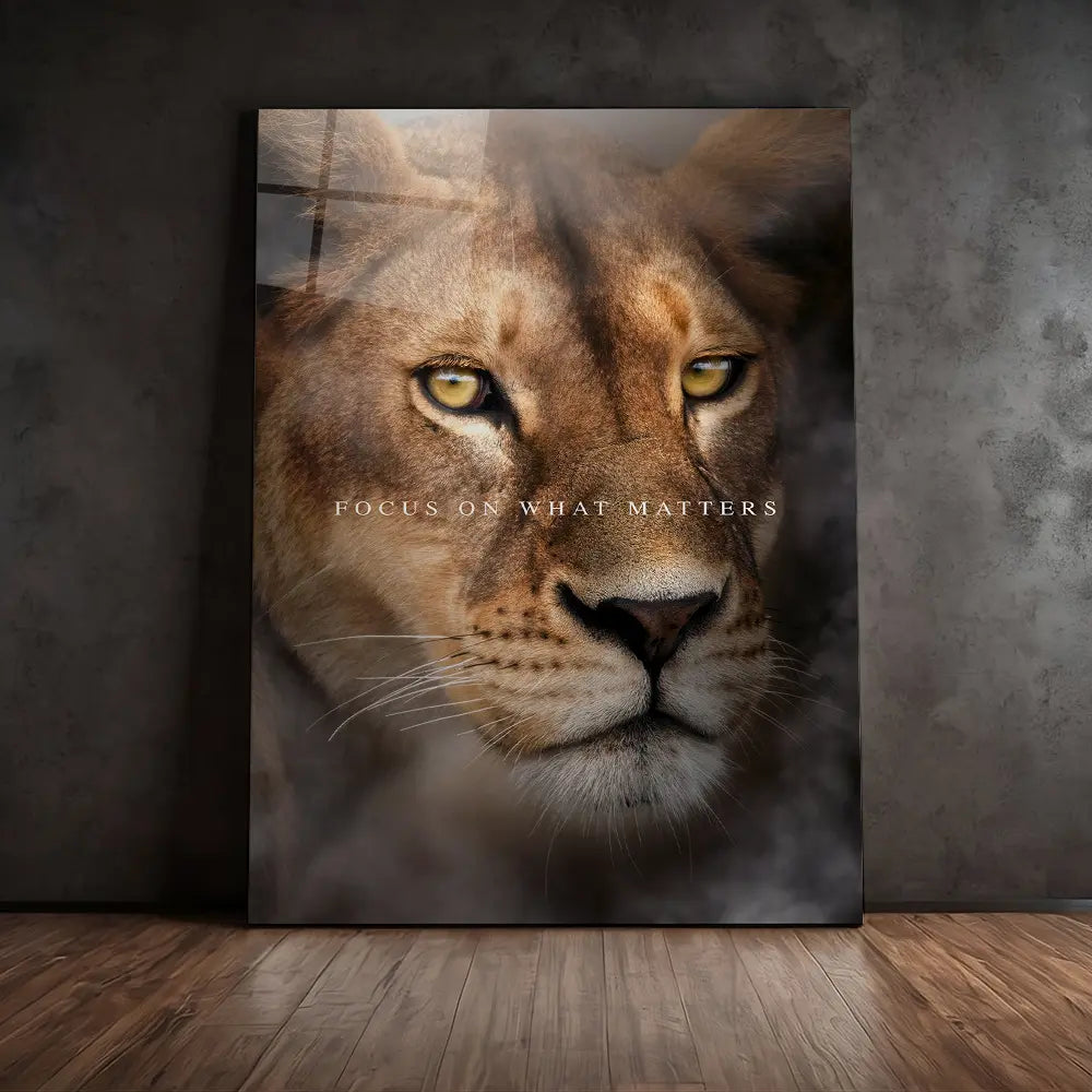 Lioness Focus