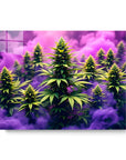 Purple Smoke