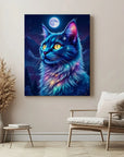 Cat Galaxy