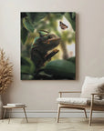 Chameleon Butterfly