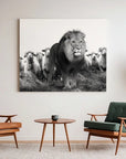 Lion Sheeps