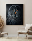 Owl At Night