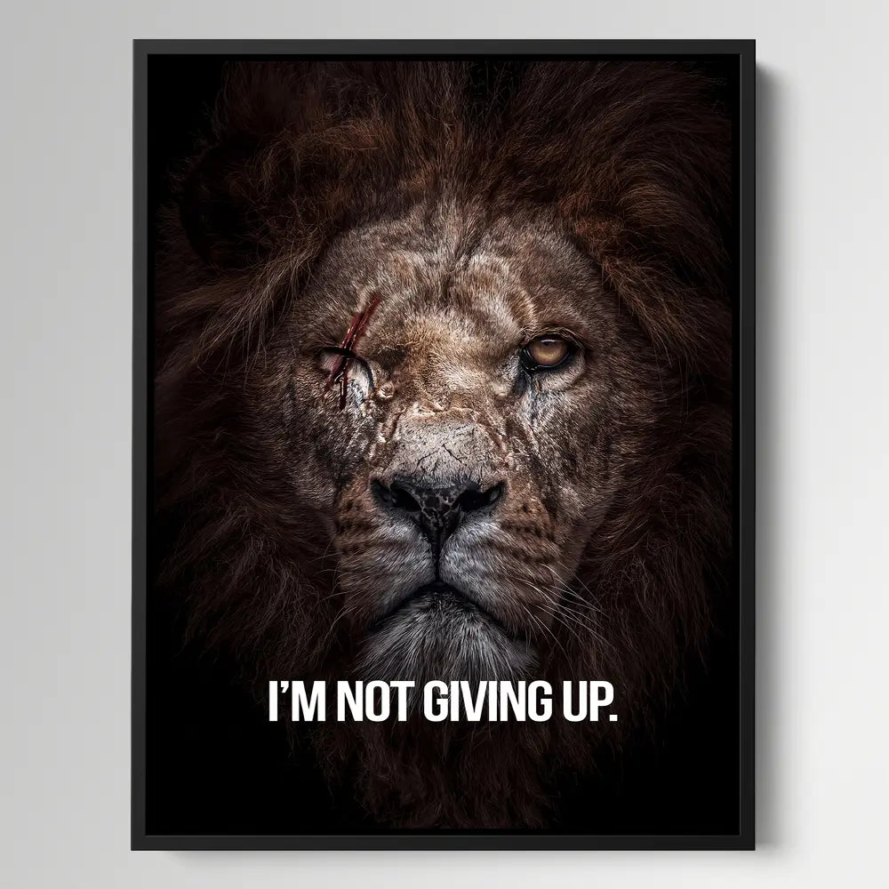 I'm Not Giving Up