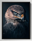 Hawk Never Give Up