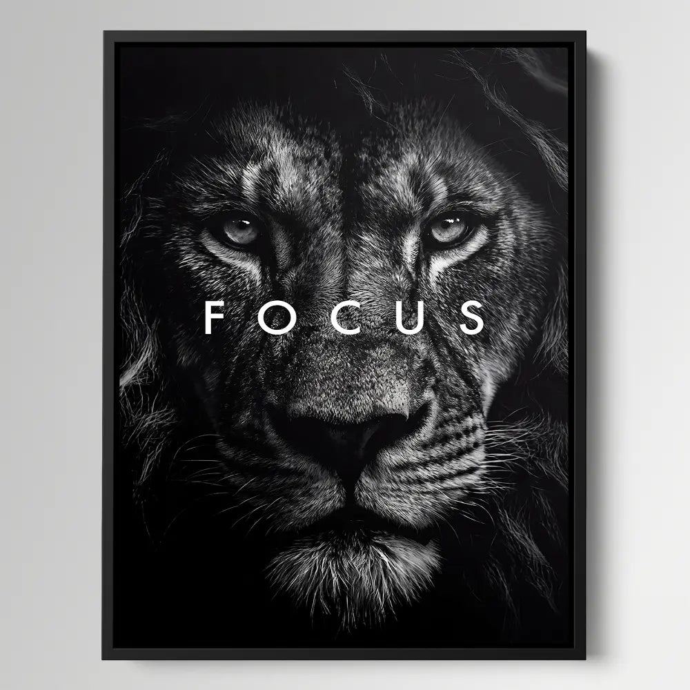 Lion Focus
