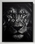 Lion Focus