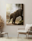 Baby Elephant
