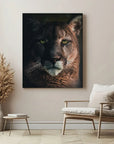 Bobcat