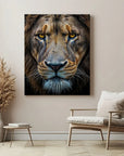 Close Up Lion