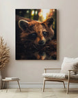 Cute Raccoon