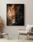 Fox Eyes