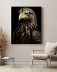 Golden Eagle Black Portrait