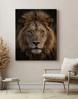 Lion Green Eyes