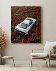 Luxury Among Roses