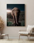 Midnight Elephant